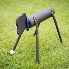 Load image into Gallery viewer, Ankle Ball