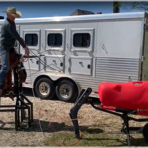 7K Something Horse Mount &  Steer Sled Complete Setup