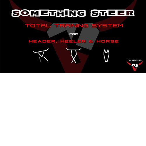 7K Something Steer Arena Banner (4' x 8')