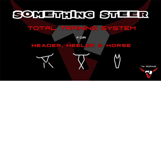 7K Something Steer Arena Banner (4' x 8')